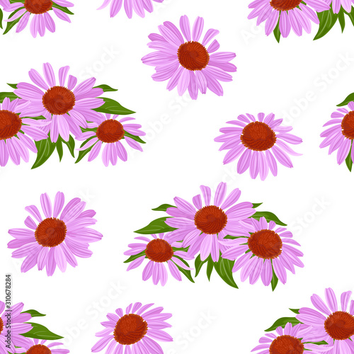 Purple flowers and green leaves seamless pattern. Blooming echinacea isolated on white background. Vector floral illustration in cartoon simple flat style. © Sunnydream