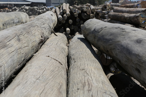 Bangkirai at timberyard indonesian sawmill photo