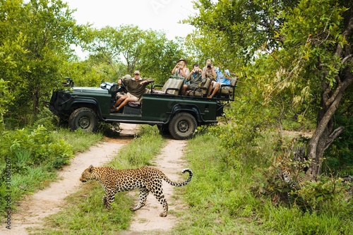 Leopard Crossing Road With Tourists In Background