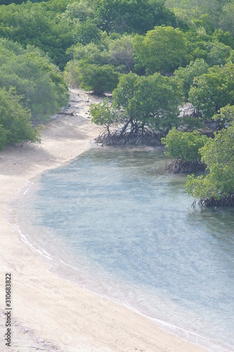 Beach with white sand and mangrove plants that are still hidden from the crowd 
