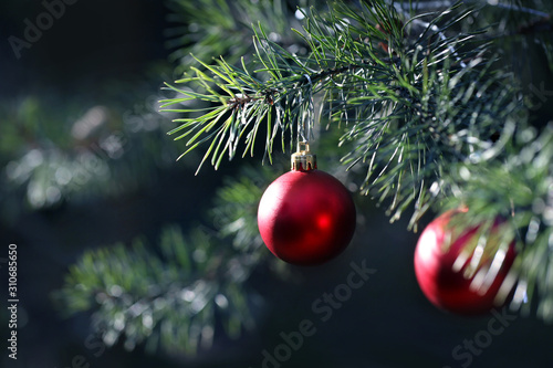 Red Christmas ornaments on pine branches.