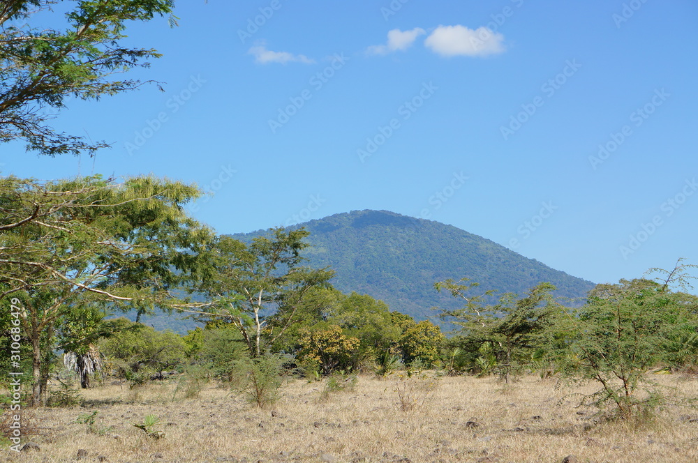 The savanna is dominated by dry grass and a few trees that spread wide with mountain and canyon background, it can be seen that some savanna inhabitants are looking for food. The savanna is dominated by dry grass and a few trees that spread wide with mountain and canyon background, it can be seen that some savanna inhabitants are looking for food.