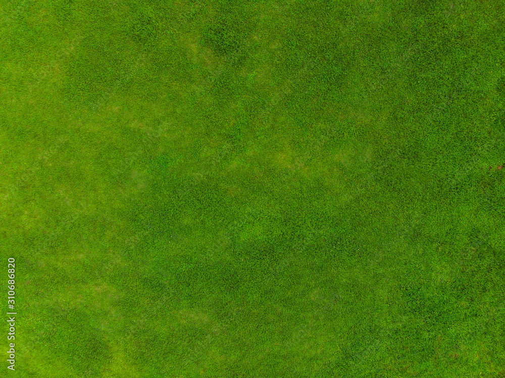 Top view of park, Natural grass texture
