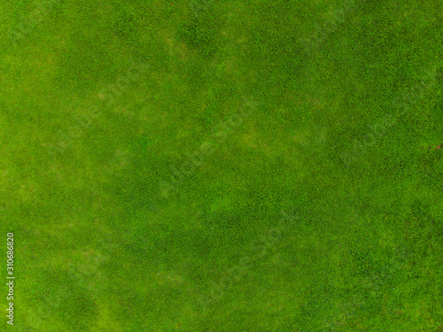 Obraz na płótnie Top view of park, Natural grass texture w salonie
