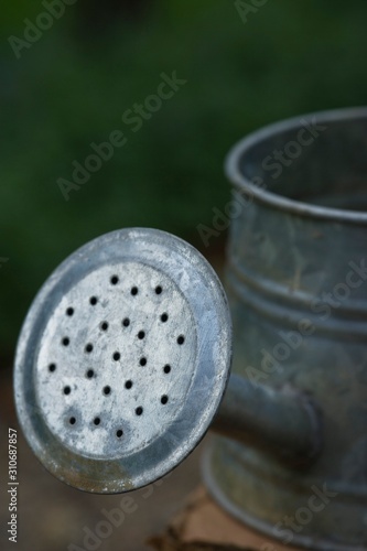Detail Of Watering Can