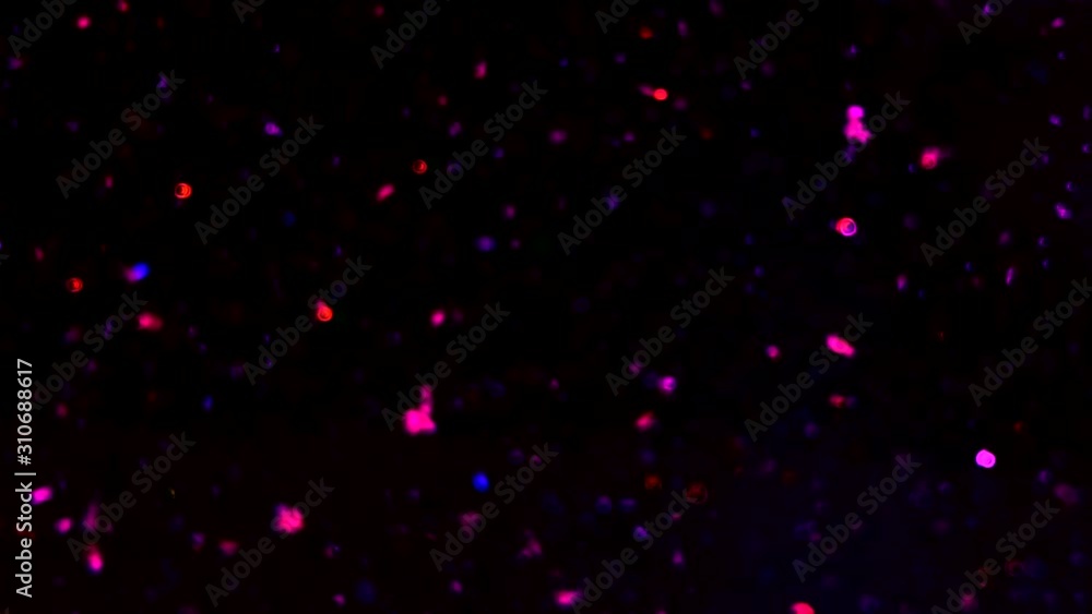 Slow motion video abstract background with blue and violet shiny sparkling bokeh. Particles of colored bokeh glitter dust glitter. Flying and flickering particles of bokeh light. Slow motion video abstract background with blue and violet shiny sparkling bokeh. Particles of colored bokeh glitter dust glitter. Flying and flickering particles of bokeh light.