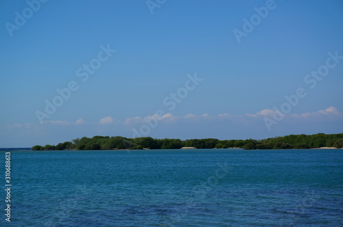 Beach with white sand and mangrove plants that are still hidden from the crowd 