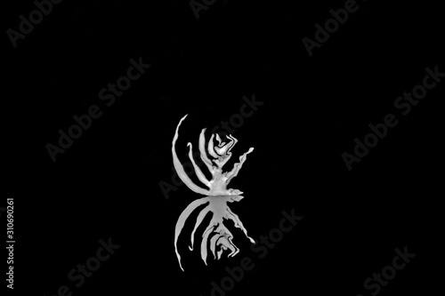 abstraction in the form of an image on an isolated black background macro photography,