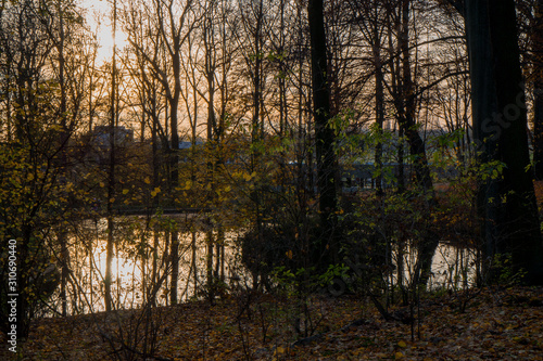 Sunset on a lake and trees silhouettes