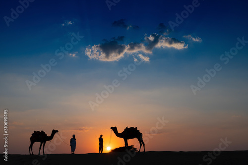 Camel ride at Thar desert  Rajasthan  India