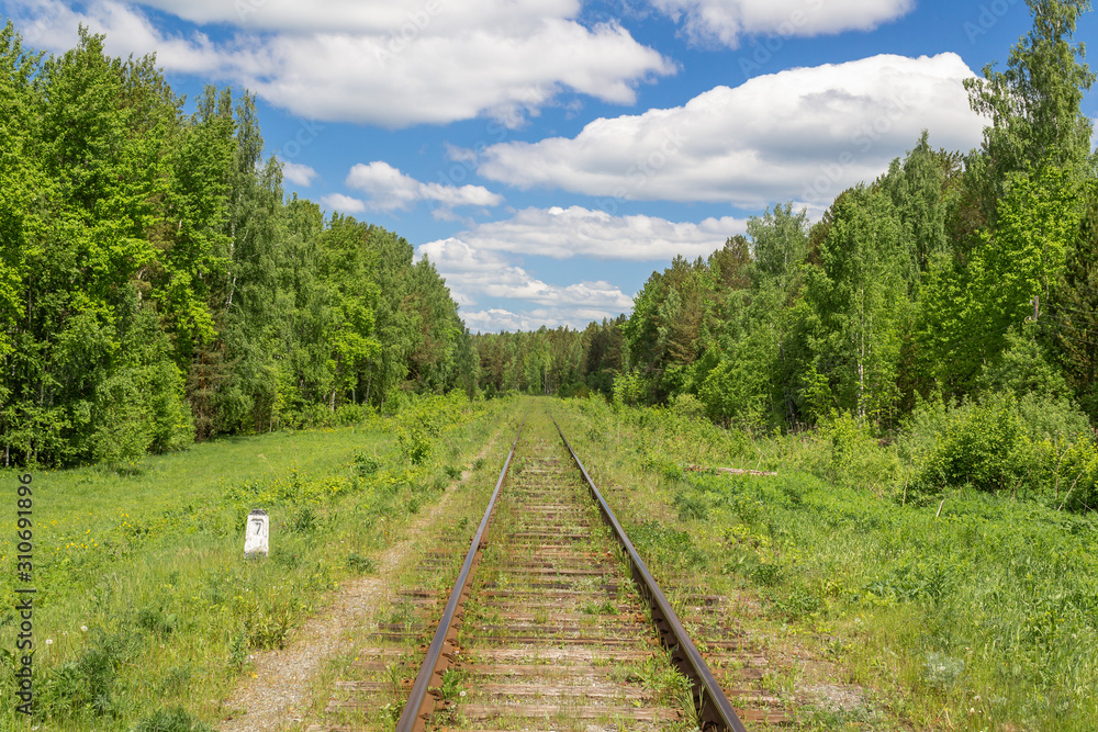 Obraz premium railway in the forest