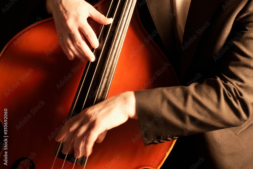 Detail Of Man Playing Double Bass Detail Of Man Playing Double Bass