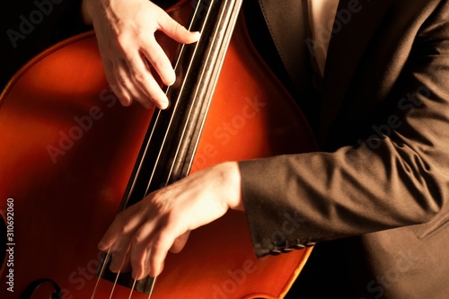 Detail Of Man Playing Double Bass