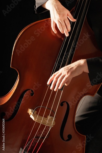 Detail Of Man Playing Double Bass