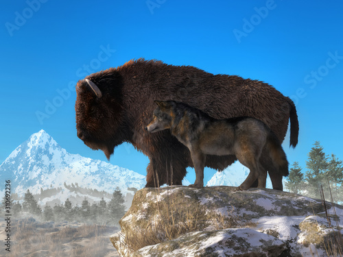 Side by side, a timber wolf and a buffalo look down on a snowy landscape, vigilant animal symbols of the wilderness of the North American Wild West. 3D Rendering © Daniel Eskridge