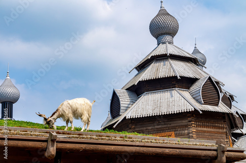 Goat eats on a roof in front of a palace