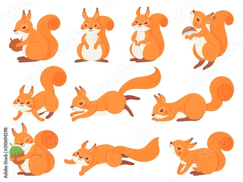Cartoon squirrel. Cute squirrels with red furry tail, mammals animals and brown fur squirrel vector set. Adorable forest fauna, funny wildlife stickers collection. Happy cub illustrations pack photo