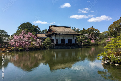 Ancient wooden palace with cherry blossom