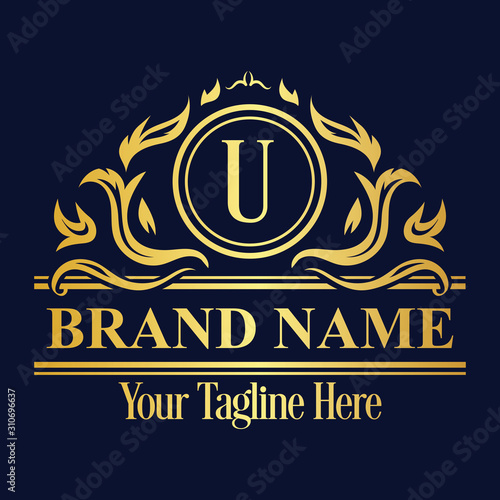 Gradaint Alphabet Luxurious logo, Vintage ornamental luxury logo design template: 100% vector best for t shirt, pillow,mug, sticker and other Printing media photo