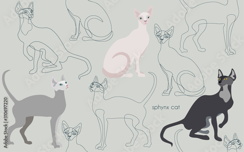 Three canadian sphinx cats vector seamless vector illustration. Felis catus. Image of a silhouette of a bald and hairless cat on a light gray background. Endless pattern.