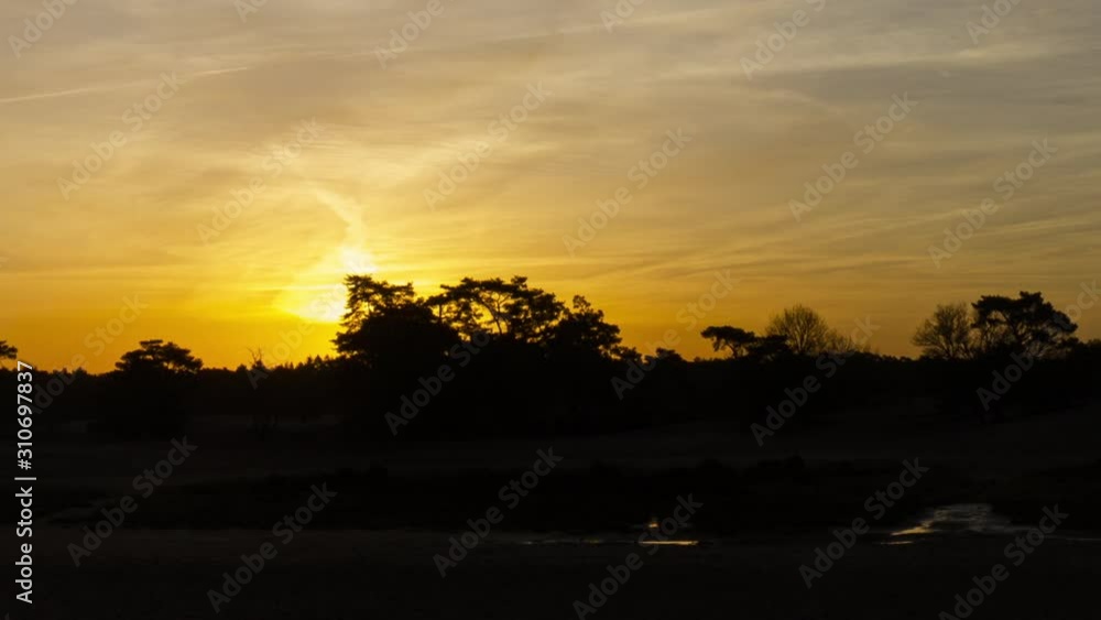 Time lapse of beautiful sunrise behind trees in sand dunes - zoom out Time lapse of beautiful sunrise behind trees in sand dunes - zoom out