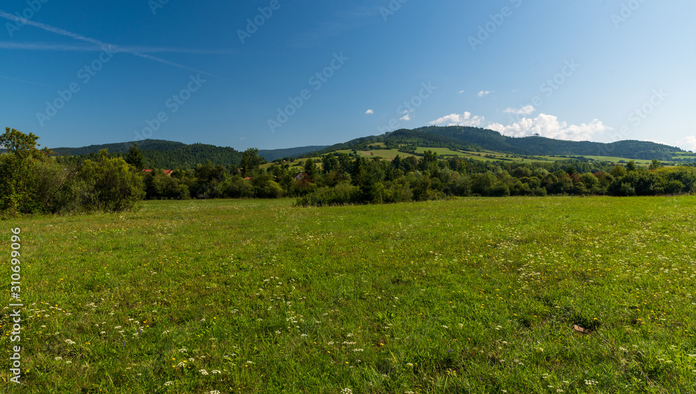 beautiful landscape with meadow, trees, few houses hills covered by forest and blue sky with few clouds