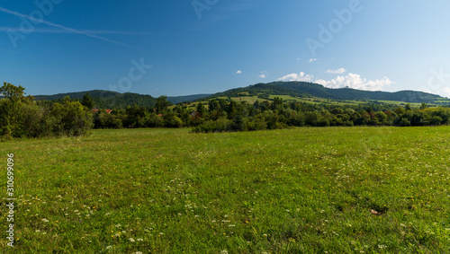 beautiful landscape with meadow  trees  few houses hills covered by forest and blue sky with few clouds