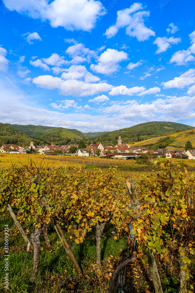 Village de Riquewir vue des vignes