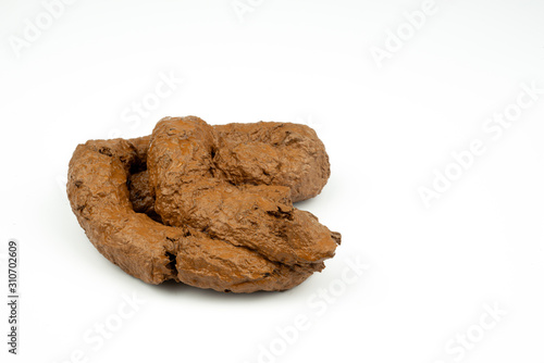 Close up of brown dog poop ,isolated on white background photo