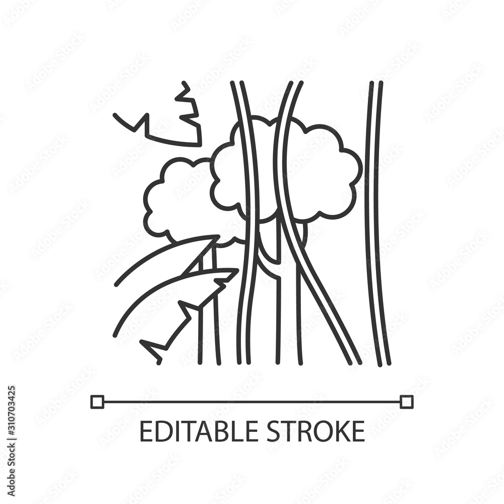 Rainforest linear icon. Exotic trees, plants. Flora of Indonesia. Jungle lianas, trees and palm leaves. Thin line illustration. Contour symbol. Vector isolated outline drawing. Editable stroke Rainforest linear icon. Exotic trees, plants. Flora of Indonesia. Jungle lianas, trees and palm leaves. Thin line illustration. Contour symbol. Vector isolated outline drawing. Editable stroke