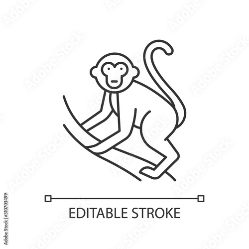 Monkey on liana linear icon. Tropical country animal. Exploring Indonesia wildlife. Primate climbing. Thin line illustration. Contour symbol. Vector isolated outline drawing. Editable stroke