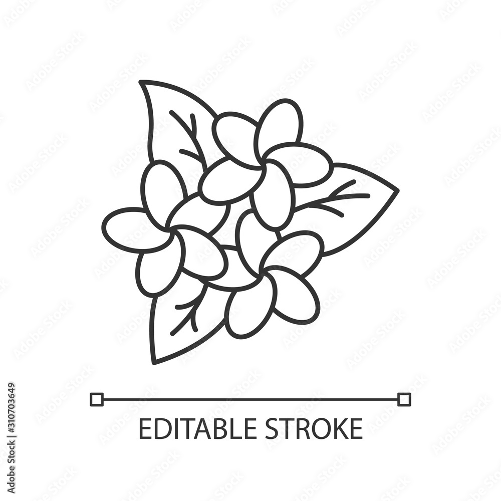 Plumeria inflorescence linear icon. Exotic flowers. Flora of Indonesia.  Blossom of frangipani. Thin line illustration. Contour symbol. Vector  isolated outline drawing. Editable stroke Stock Vector