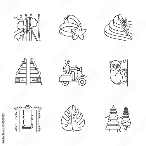 Indonesia linear icons set. Tropical country animals, plants. Indonesian islands. Exotic places. Thin line contour symbols. Isolated vector outline illustrations. Editable stroke. Perfect pixel
