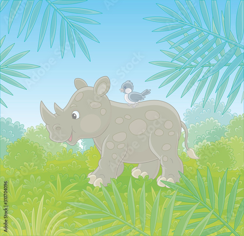 Little grey rhinoceros with...