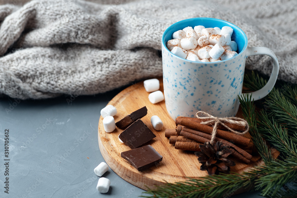 Hot chocolate autumn and winter drink with marshmallows and cinnamon Hot chocolate autumn and winter drink with marshmallows and cinnamon