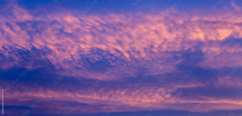 Mammatus cloud texture on a pink sky