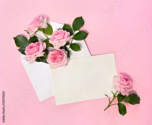 Beautiful flowers pink roses in postal envelope and blank sheet with space for text on a pink paper background. Top view, flat lay