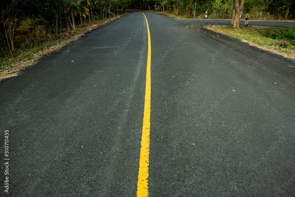 Obraz premium asphalt road with beautiful trees on the sides in