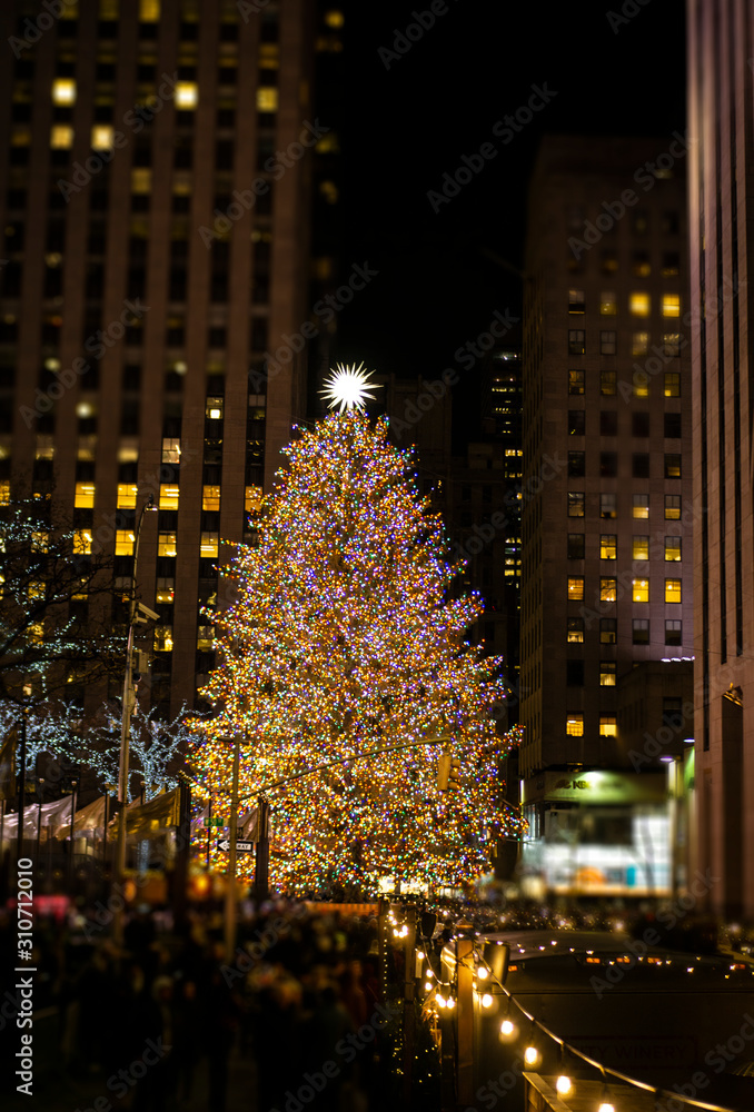 Christmas Tree In New York