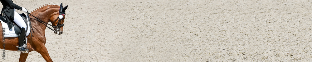 Obraz premium Dressage horse and rider in black uniform. Horizontal banner for website header design. Equestrian sport competition, copy space.