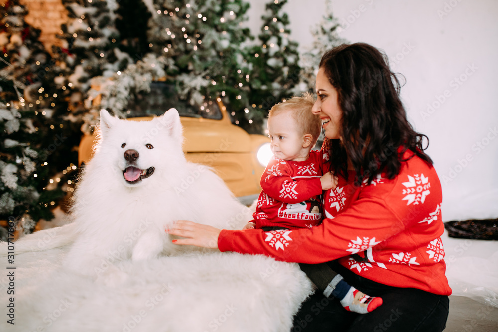 Mother and her son sit next to dog against background of Christmas tree. Mother and her son sit next to dog against background of Christmas tree.