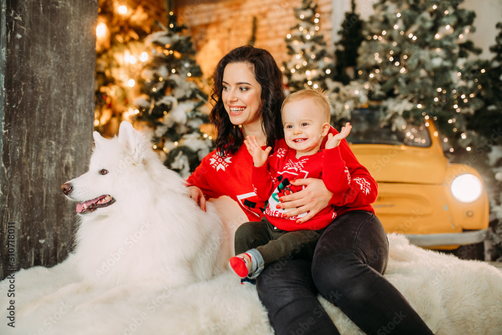 Mother and her son have a fun next to dog against background of Christmas decorations. Mother and her son have a fun next to dog against background of Christmas decorations.