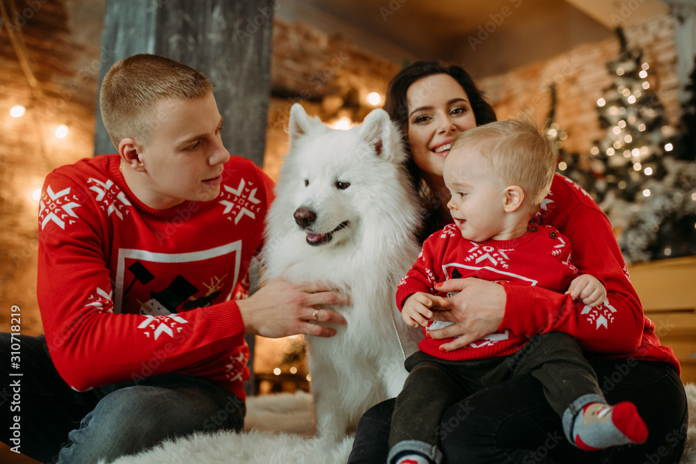 Family sits next to dog and has a fun against background of Christmas decorations. Family sits next to dog and has a fun against background of Christmas decorations.