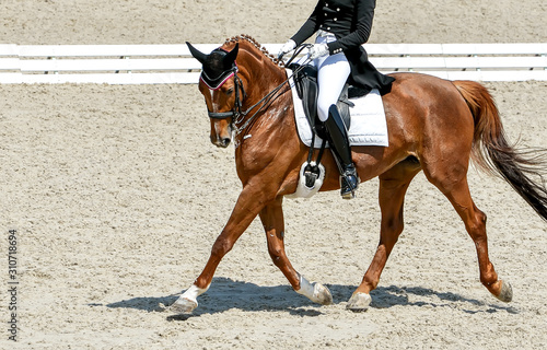 Dressage horse and rider in black uniform. Beautiful horse portrait during Equestrian sport competition, copy space. © taylon