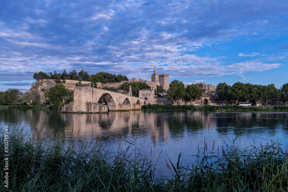 Panoramic view of the city of Avignon, France