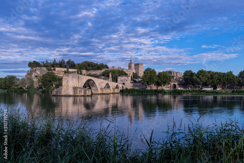 Panoramic view of the city of Avignon, France