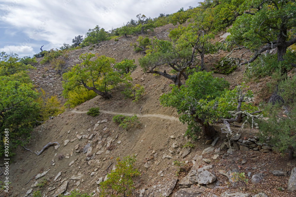 Trail on a steep mountainside.