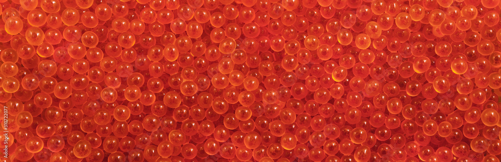 Red caviar. Background. Texture. Panorama. Red caviar. Background. Texture. Panorama.