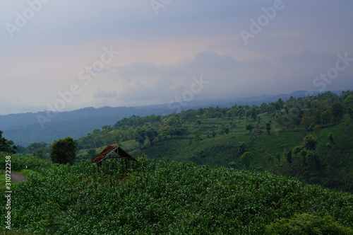 Fotografía A small hut is a temporary house with thatched roofs to shelter from the sun and