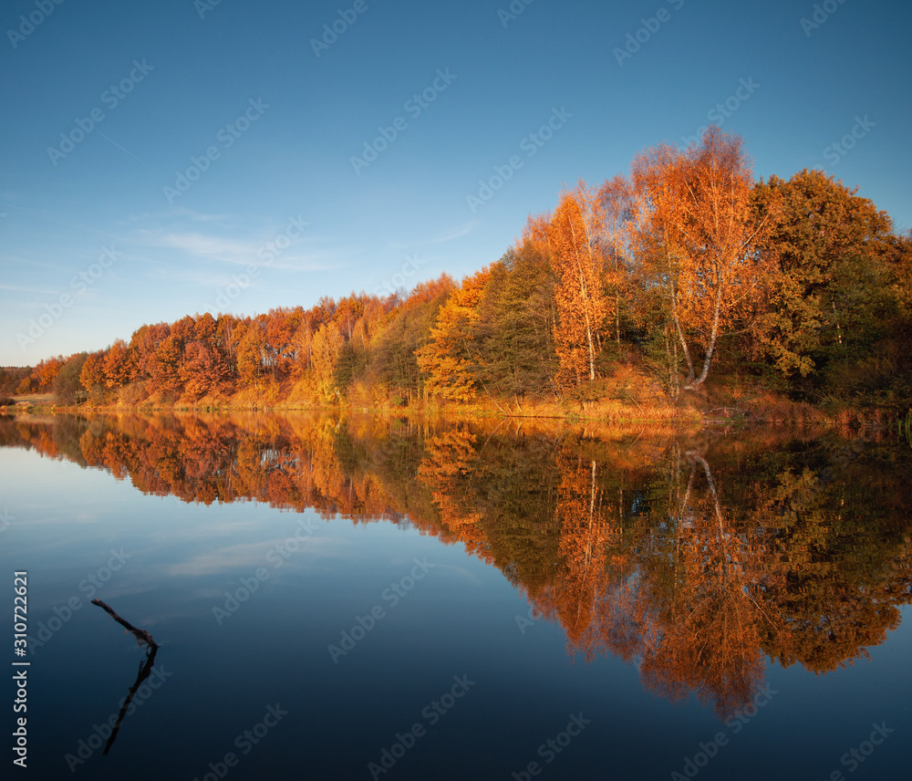 Relaxing European Autumn Landscape In Orange And Blue Colors At Sunset. A Mirror Image Of The Autumn Red Forest With A Quiet Surface Of The Lake. Oak Grove On The Shore Of A Pond.Belarus, Minsk Region